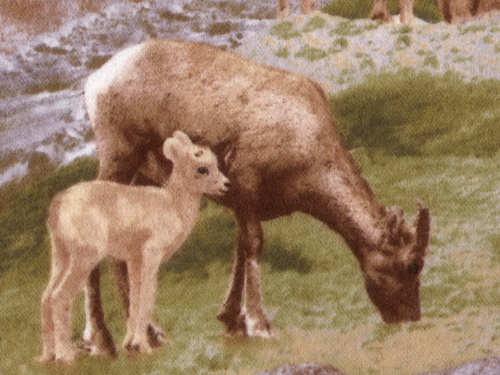 North American Mountain Goats Flannel